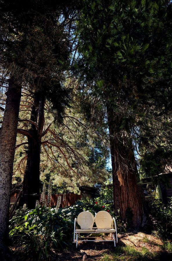 Highlands - Adults Only * Guerneville